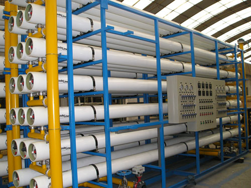 ����RO���B͸